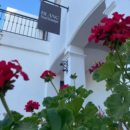 Blanc Hotel Boutique-3